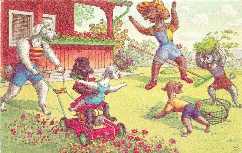 Anthropomorphic Mainzer Dressed Cats Garden Fun Postcard artist impression 9860