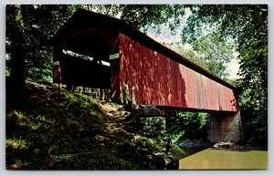 Old Covered Bridge~Sedalia Missouri~Child Contemplates Jump~Vintage Postcard