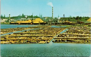 Pulp Mill at Duncan Bay near Campbell River BC Vancouver Island Postcard G42