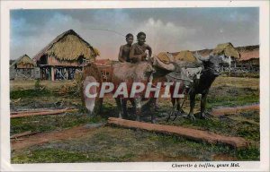 Postcard Modern Saigon Charrette buffalo Moi Genre