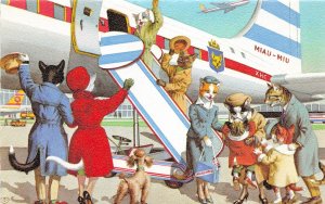 G91/ Dressed Cats Alfred Mainzer Postcard c1940s Airline Airplane Airport 12