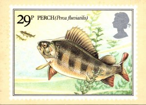 Stamps British River Fishes Perch