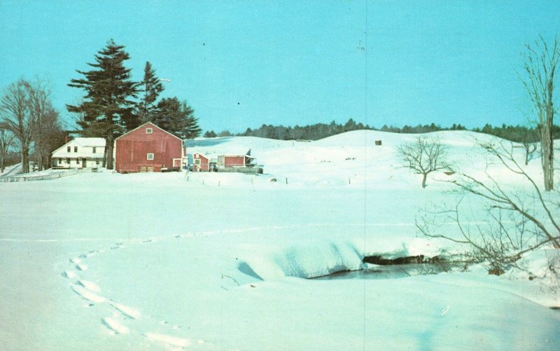 Vintage Postcard Countryside House Winter Snow Greetings Falmouth Virginia VA