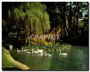 Modern Postcard Vittel Swan Pond