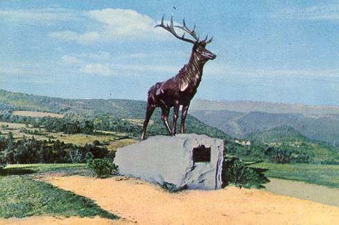 MA - Mohawk Trail, The Elk at Whitcomb Summit