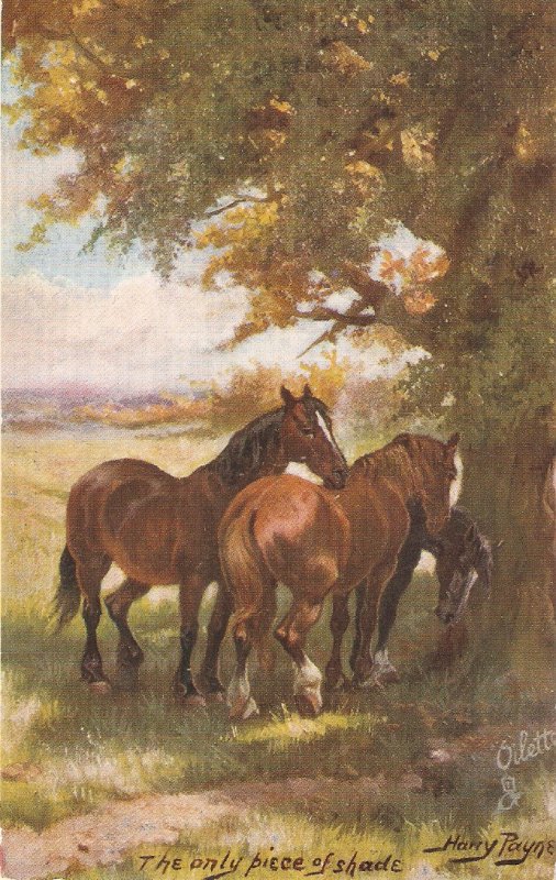 Harry Payne. The only piedce of share. Horses Tuck Oilette By Mead  PC # 9337