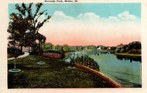 VINTAGE CONTINENTAL SIZE SOFT-PAPER PICTURE GOVERNMENT BRIDGE RIVERSIDE PARK IL