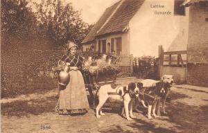 B94072 laitiere flamande dog  cart belgium  port costumes types folklore