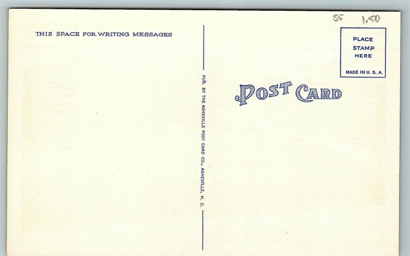 Postcard GA Clayton Forest Hill Inn Ravens Wing Pinnacle Mts Vintage Linen R18