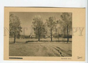 437417 Latvia Sarmotie berzi in winter Vintage postcard