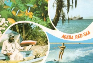 Aqaba Red Sea Egypt Surfing Ship Fish Crafts 1970s Postcard