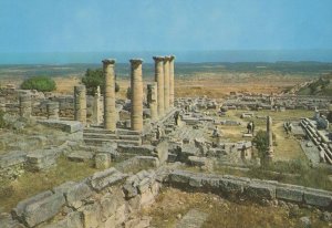 The Ruins Of Cyrene Libya Postcard