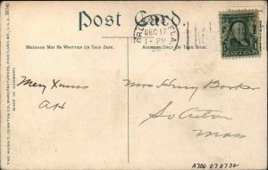 Lake City Florida FL Olustee Park c1910 Vintage Postcard