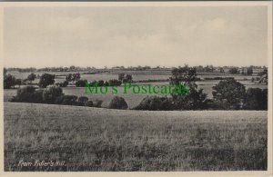 Essex Postcard - View From Fidler's Hill (Fiddlers Hill) RS30057