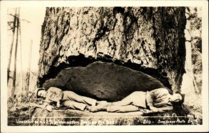 Washington WA Loggers in Giant Douglas Fir Cut Sorrenson Real Photo Postcard