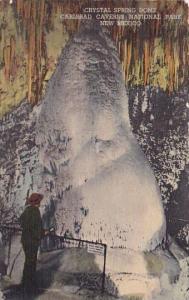 Crystal Spring Dome Carlsbad Caverns National Park New Mexico 1955