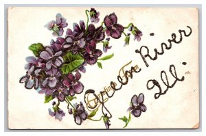 Generic Floral Greetings Violets Green River Illinois IL DB Postcard w Micah Z2