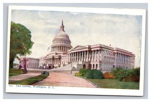 Vintage 1900s Postcard The Capitol White House, Washington, District of Columbia