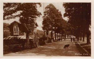 RPPC Marina, Cork, Ireland, River Lee, Tivoli ca 1920s Antique Photo Postcard