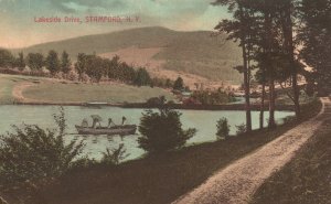 Vintage Postcard 1911 Lakeside Drive Stamford New York N.Y.