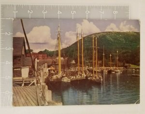 Vintage Large 9x6 Postcard Sailboats Camden Harbor Maine Kodachrome RPPC