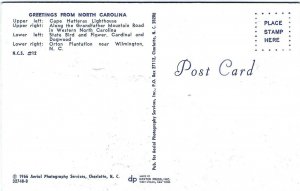 Vintage postcard, Greeting from North Carolina 