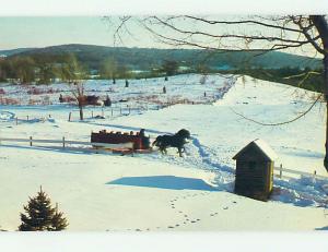 1982 Horse AND SLEIGH AT SALEM CROFS INN Olde Brookfield Massachusetts MA L1494