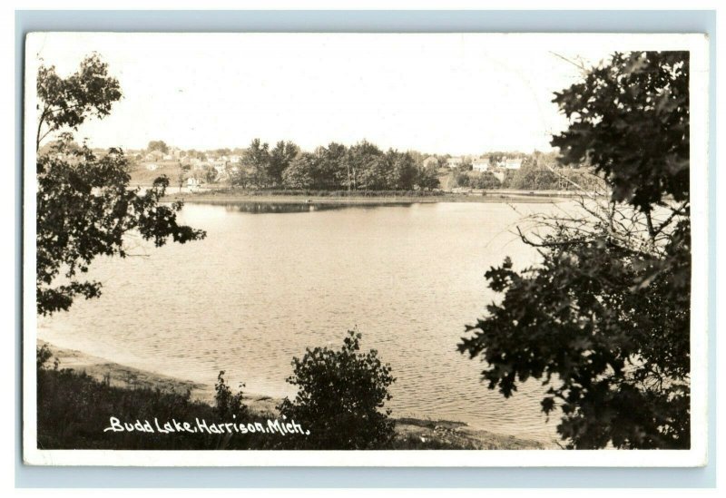 Vintage Bud Lake Harrison, MI RPPC Real Photo Postcard F87