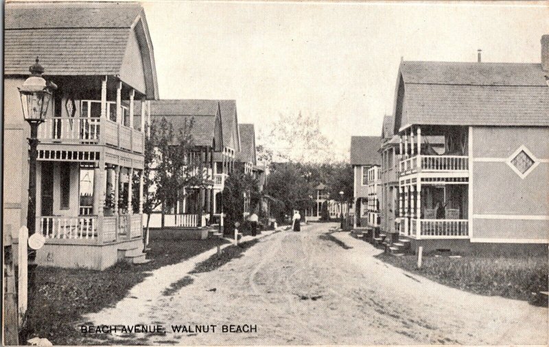 View of Cottages on Beach Avenue, Walnut Beach CT Vintage Postcard M75