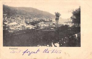 View of Funchal Portugal  Antique Postcard L813 