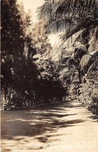 Delray Beach Florida~Palms & Pines Shading Road~Classic Car Parked~1945 RPPC