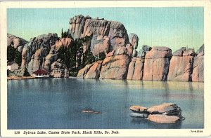 Postcard WATER SCENE Black Hills South Dakota SD AI0802