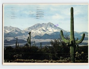 Postcard Snow Capped Mountains in the Arizona Desert, Arizona