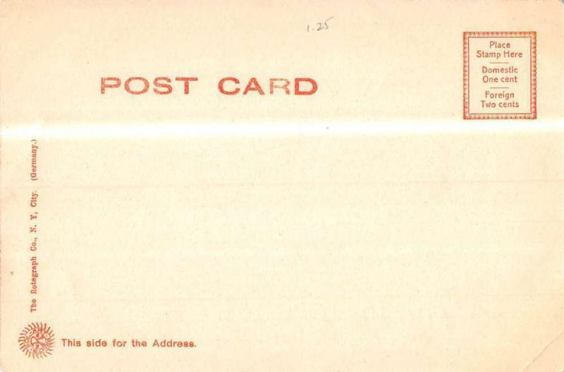 Batavia New York School For The Blind Antique Postcard K106819