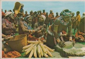 Africa Harvest Festival Pondo African Girls Transkei Maize Ceremony Postcard