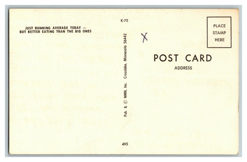 Hello From Garrison Minn. Walleye Vintage Exaggerated Standard View Postcard 