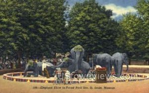 Elephant Show in St. Louis, Missouri