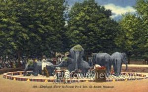 Elephant Show - St. Louis, Missouri MO Postcard
