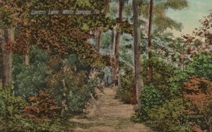 LOVERS LANE WHITE SPRINGS FLORIDA POSTCARD (c. 1910)