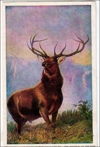 The Monarch of the Glen, Hartford Fire Insurance Co