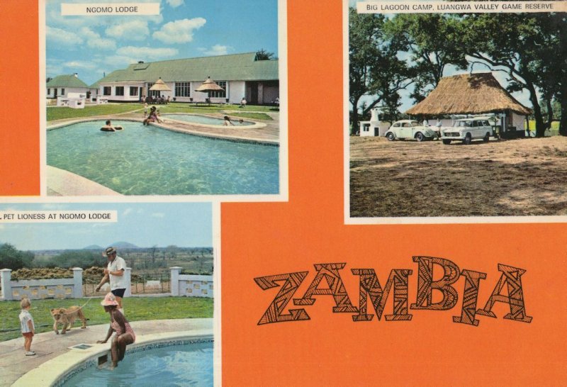 Ngomo Lodge Zambia Vintage Postcard