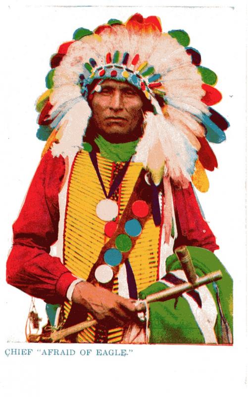 Chief Afraid-of-Eagle, Undivided Back, pre-1907