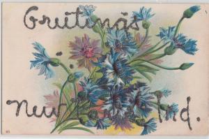 Indiana In Postcard c1910 NEW PARIS Glitter Greetings Flowers