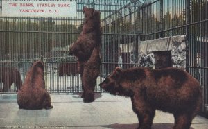 VANCOUVER, British Columbia, Canada, 1900-1910s; The Bears, Stanley Park