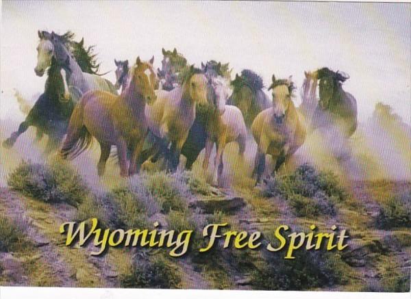 Wyoming McCullough Peak Wild Horse Round Up