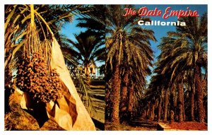 Postcard NATURE SCENE Indio California CA AS3340