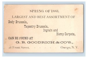 1883 G.B. Goodrich Hemp Carpets Tapestry & Body Brussels Owego, NY F105