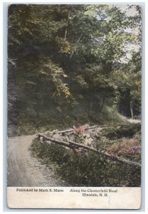 c1910's Along the Chesterfield Road Hinsdale New Hampshire NH Vintage Postcard 