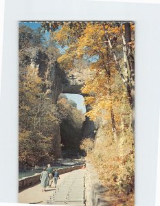 Postcard Beautiful Natural Bridge Virginia USA