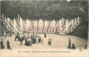 Postcard Old Versailles Grove Seed a Sunday Fountains